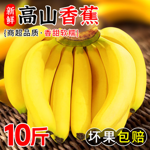 正宗广西新鲜高山甜香蕉5斤9斤软糯粉青皮香蕉应季水果整箱多规格
