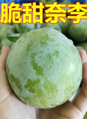 正宗脱骨奈李新鲜水果5斤现摘赖李油奈空心青奈脆甜桃形李子