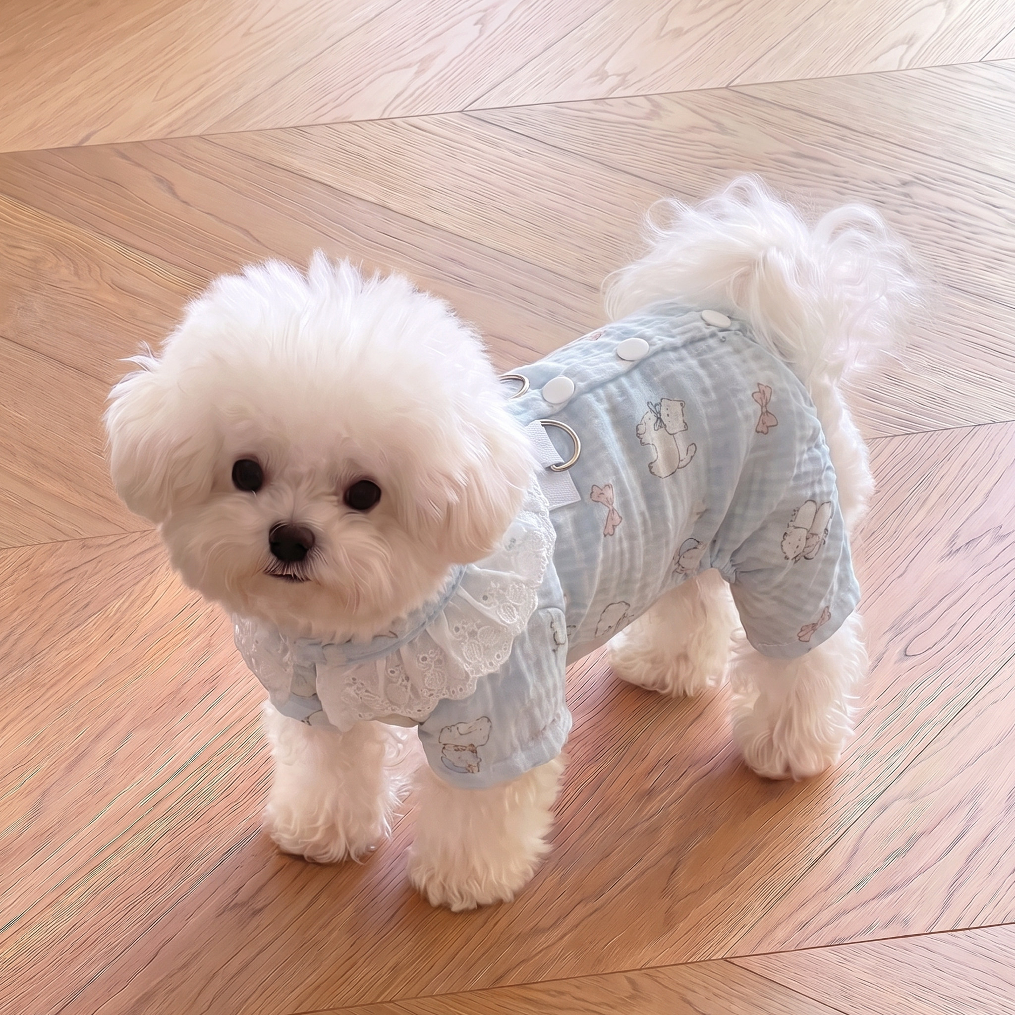 宠物狗狗衣服小狗四脚衣小型犬比熊雪纳瑞春秋季猫咪家居服透气