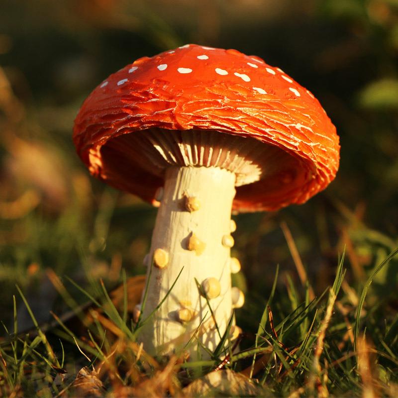 户外庭院摆件景观装饰品花园盆栽盆景装饰仿真蘑菇微景观装饰