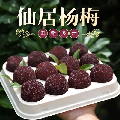 自家果园现摘现发特大颗粒礼盒