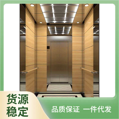 CE2Q曳引家用电梯家庭别墅电梯三四五六层观室外观光电梯小型