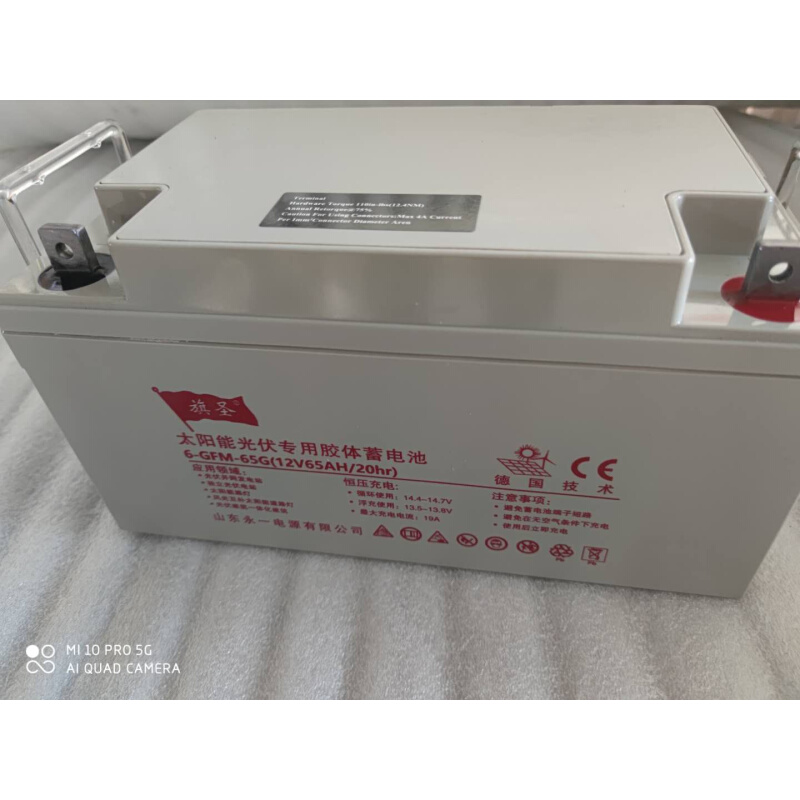 旗圣太阳专用能胶体蓄电池12v65AH家用光伏离网太阳能路灯电池