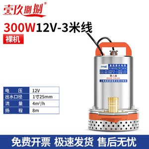 壹玖捌捌直流潜水泵浇菜12V24V48V60V种田农用船用灌溉直流泵电瓶