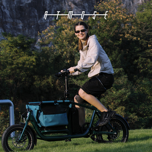 cargo mini bike宠物自行车载物亲子电助力自行车 Q版 美国atmose