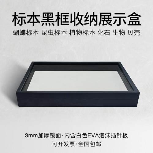 黑框白底实木松木标本盒昆虫蝴蝶玻璃标本框标本黑漆面工艺小黑夹