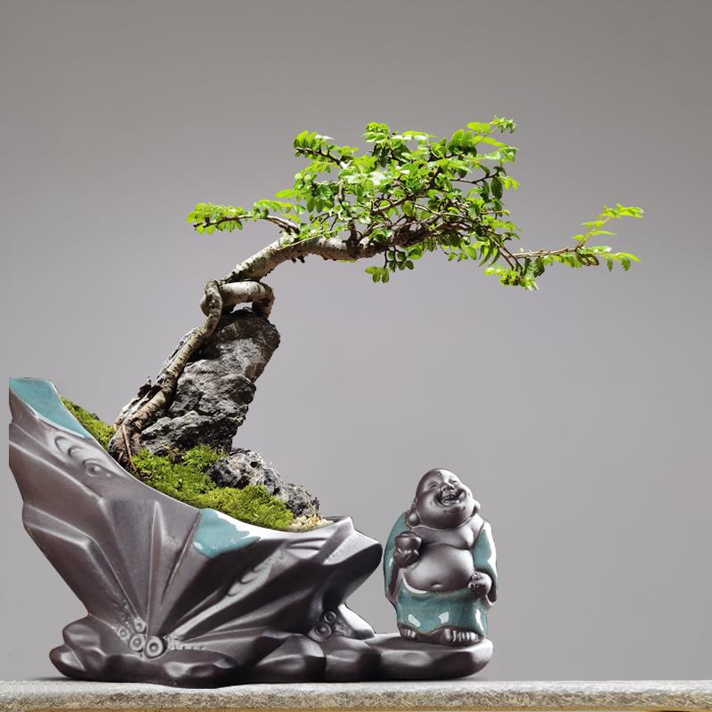 紫砂多肉花盆陶瓷创意微景观盆栽禅宗覆古室内绿色植物个性化景观