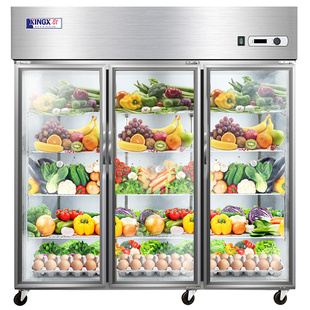 商用展示柜大容量单温冷藏保鲜冰柜多尺寸 星星厨房三门冰箱立式