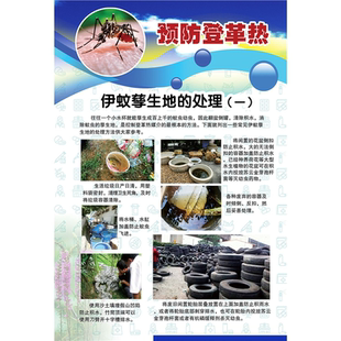 海报印制展板写真喷绘社区服务疾病识知公告栏防登革热挂图装饰画