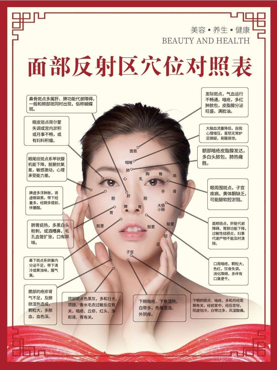 中医面部经络反射图美容院养生馆脸部穴位图装饰刮痧按摩海报图
