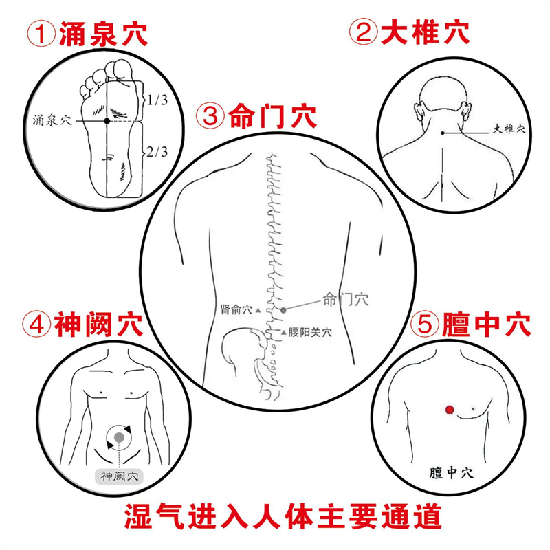 湿气进入人体主要通道海报展板墙贴墙纸装饰画KT板,个性定制/设计服务/DIY,写真/海报印制,淘宝优惠券,粉丝福利购,淘宝优惠卷