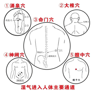湿气进入人体主要通道海报展板墙贴墙纸装饰画KT板