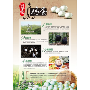 绿壳乌鸡蛋海报展板乌鸡蛋无公害低胆固醇高营养白凤乌鸡蛋