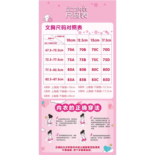 女士内衣尺码表海报展板穿戴文胸的正确方法内衣的正确穿法墙贴