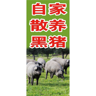 自家散养黑猪海报展板农家土猪肉土猪肉猪肉分割示意图土猪肉墙贴