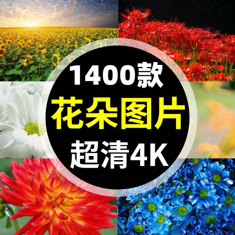 花海花田花草花朵图片电脑壁纸薰衣草百合荷花玫瑰兰花向日葵图片