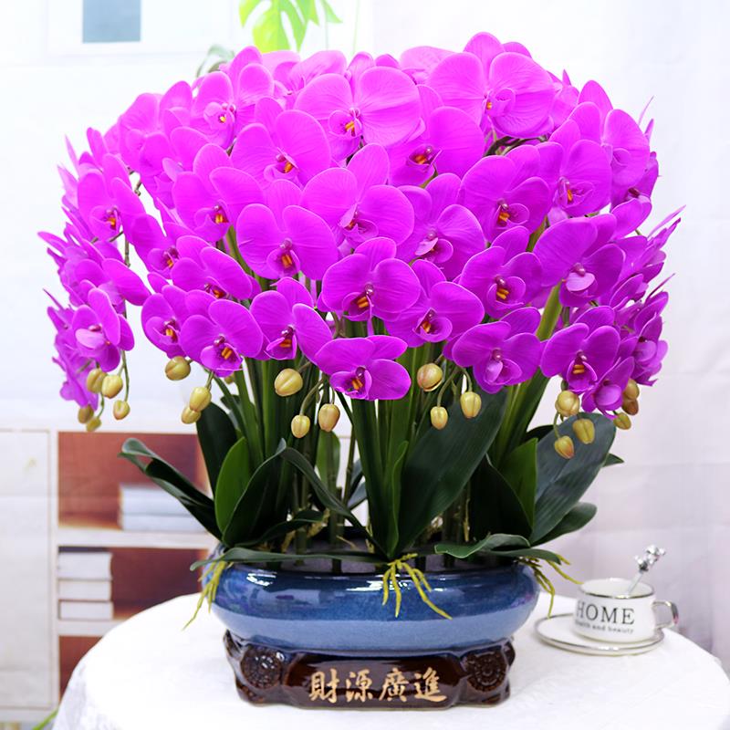 特大号仿真花保湿手感PU蝴蝶兰客厅装饰花电视柜玄关假花公司摆设