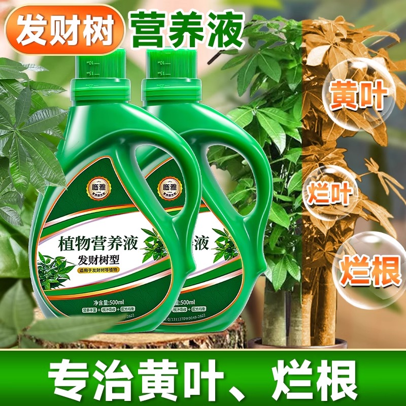 发财树营养液肥料专用肥专治烂根掉叶黄叶室内盆栽绿植物花肥通用
