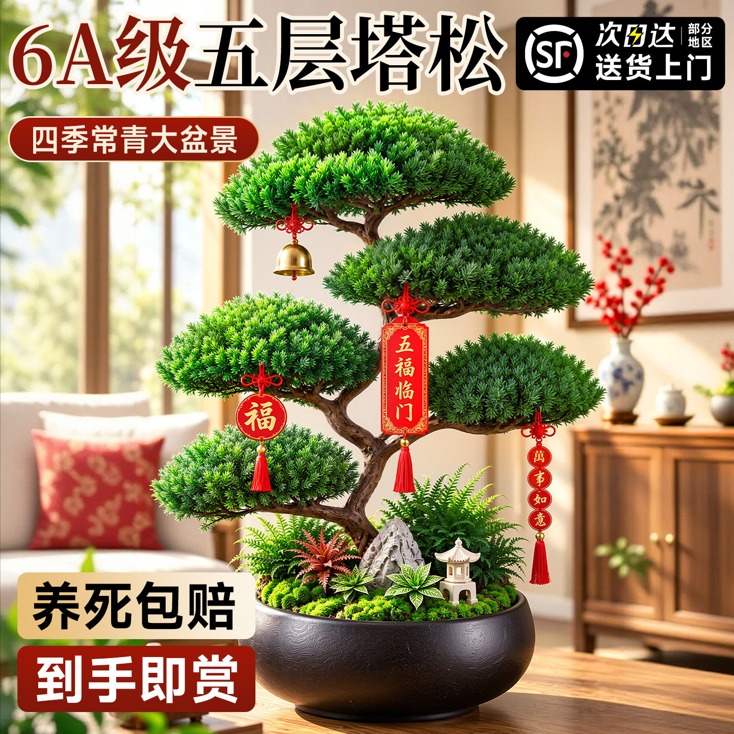 五层塔松盆栽乔迁送礼物学术长青迎客松老桩室内客厅高档盆景绿植