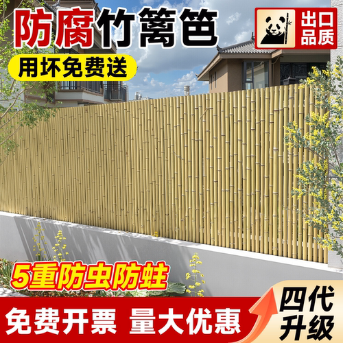 【金刚竹】竹篱笆30年坏了包退！