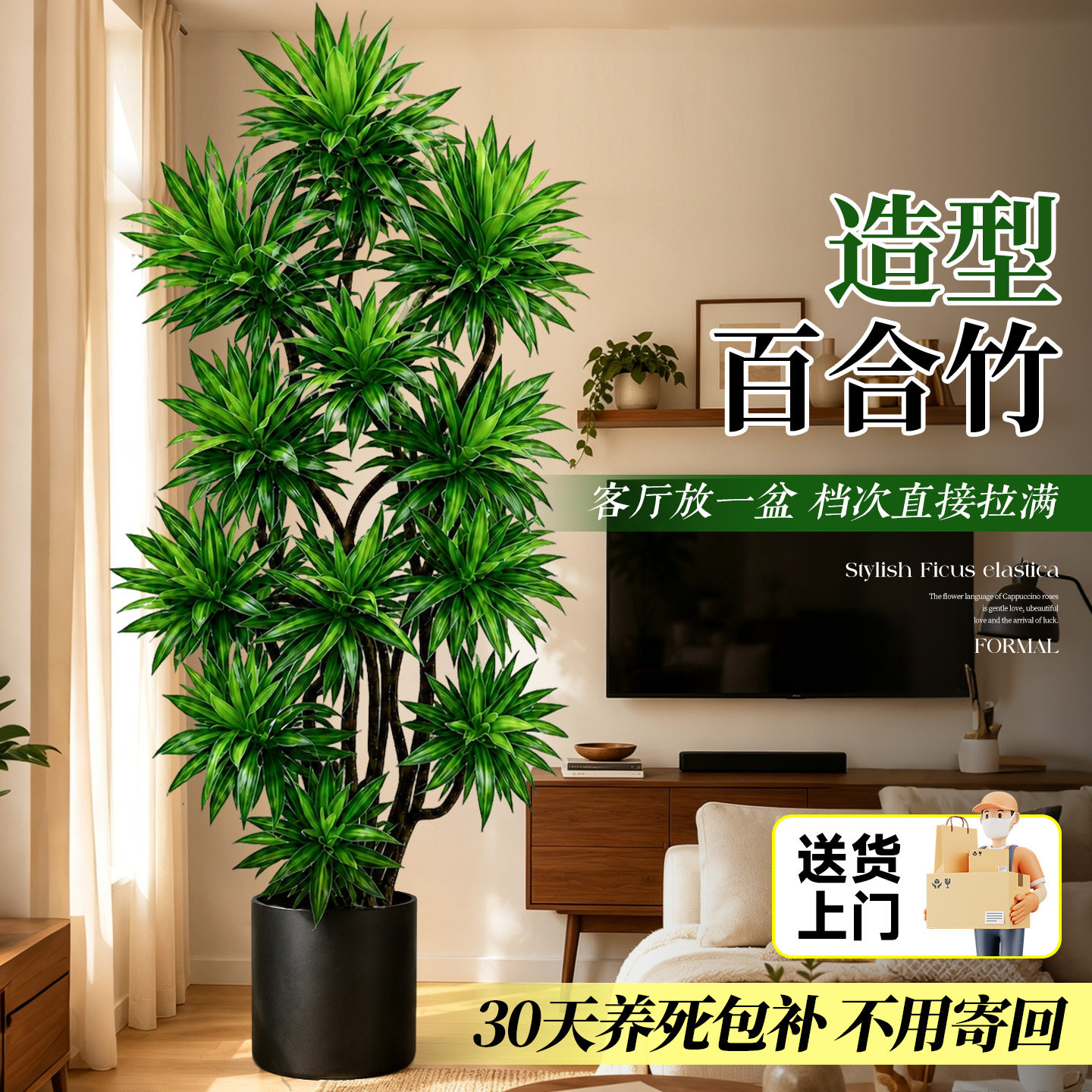 客厅轻奢好养金心百合竹老桩盆栽图片