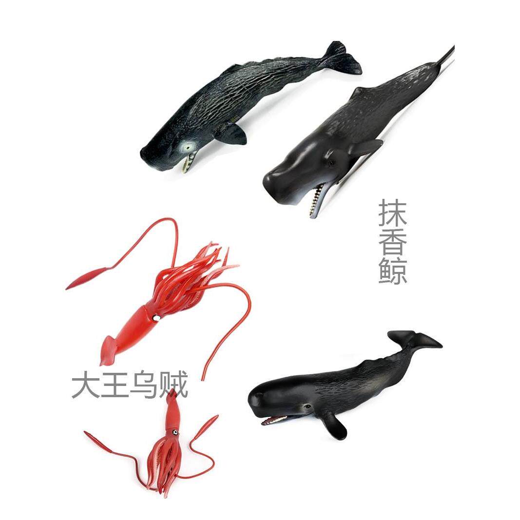 抹香鲸捕猎大王乌贼玩具仿真模型 大王酸浆鱿鱼巨枪乌贼儿童玩偶
