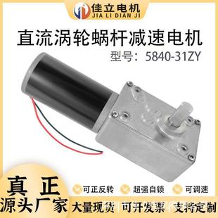 31ZY直流涡轮蜗杆减速电机大扭矩12v24v微小型调速低速马达 5840