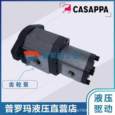 凯斯帕双联齿轮泵PLP30.43-04S5-LOG/OF/20.16-LOD/OC D/FSL油泵