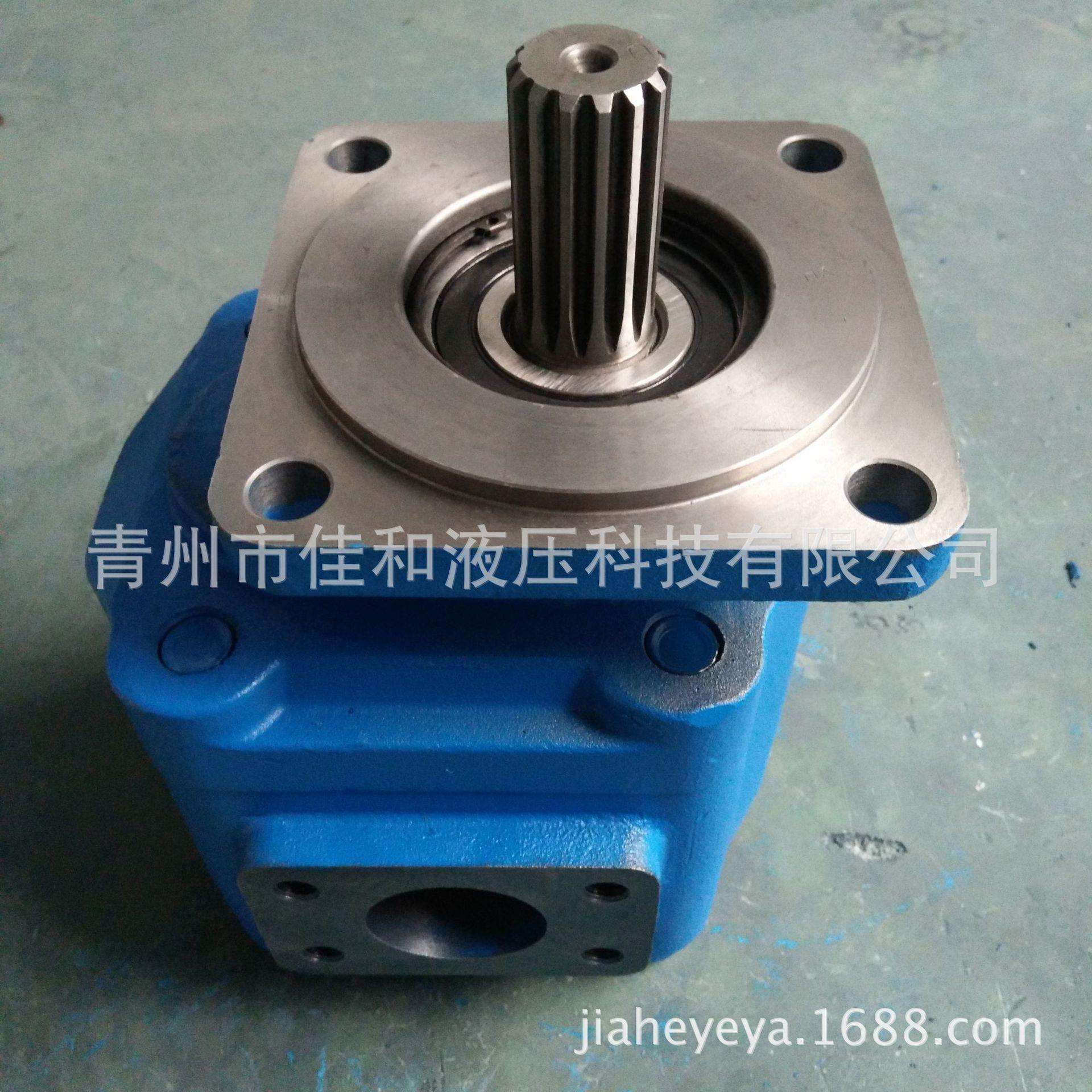 德工装载机JHP3160齿轮泵 多种规格 运行稳定