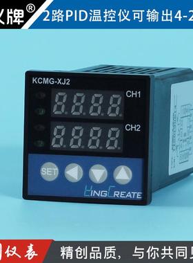 皓仪牌两路温度输入2路智能PID温控仪器调节SSR带RS485通信48mm