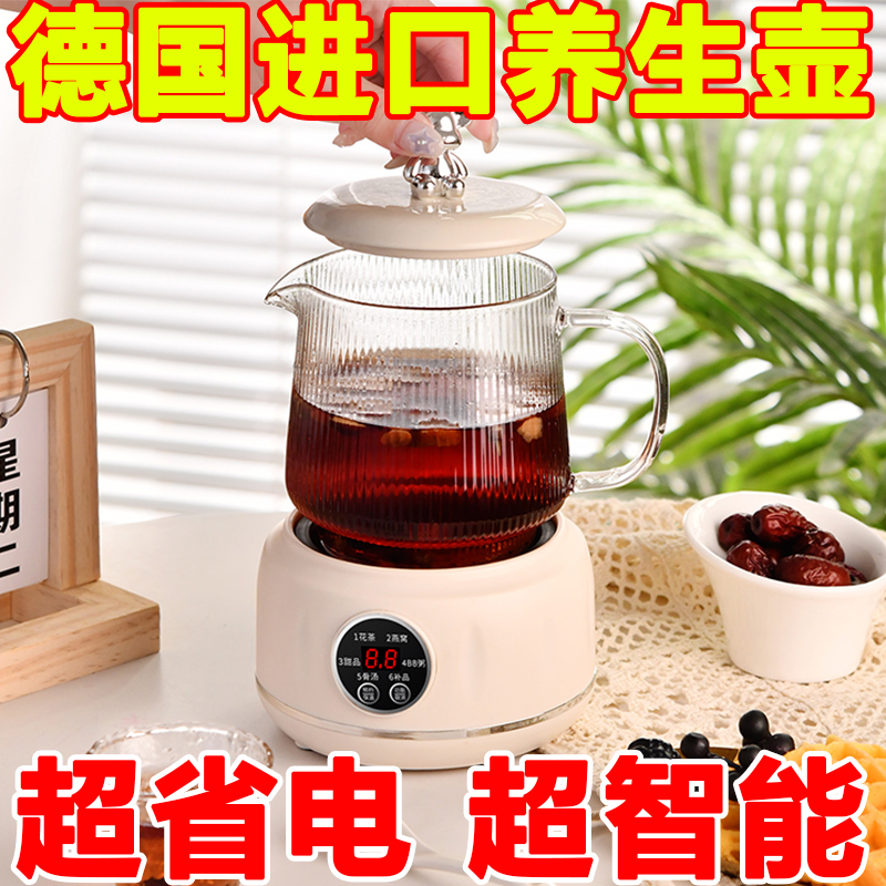 德国小型迷你养生壶电热杯煮茶器