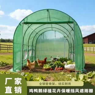 户外温室大棚鸡鸭养殖帐篷蔬菜育苗遮风挡雨暖房绿植花卉保温棚
