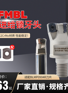 TFMBL数控快进给锁牙头通装特固克BLMP0904双面铣刀片 重切削刀头