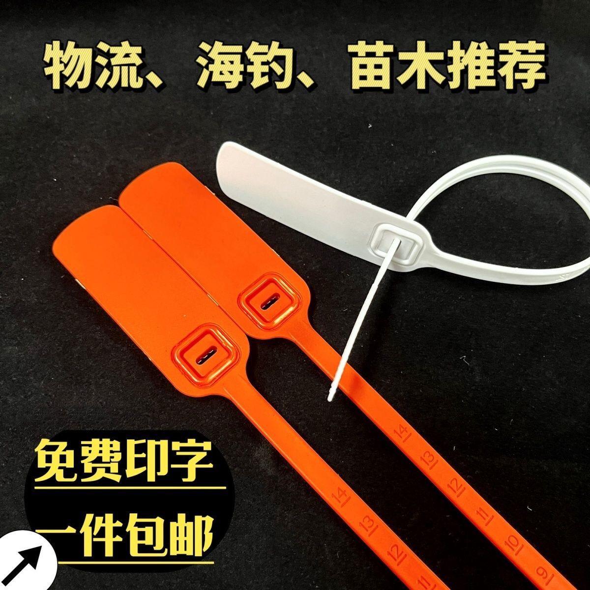 货车新款封签塑料一次性