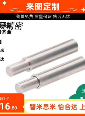 小径弹簧柱塞 定位柱ZAS01/02-D1.5/2/3/4/5-H1.5/3/4/6/8/9/12