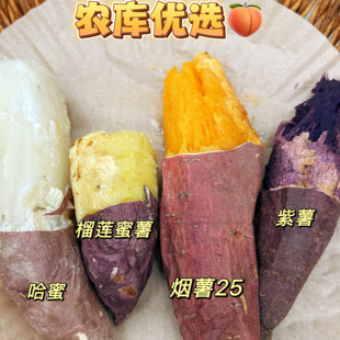 农库 自产农家田野沙地种植阜新软糯蜜甜彰武蜜薯东北地瓜中果