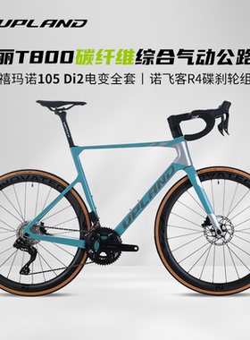 UPLAND阿普兰生肖狗公路车自行车碳纤维综合气动电变24速男女骑行