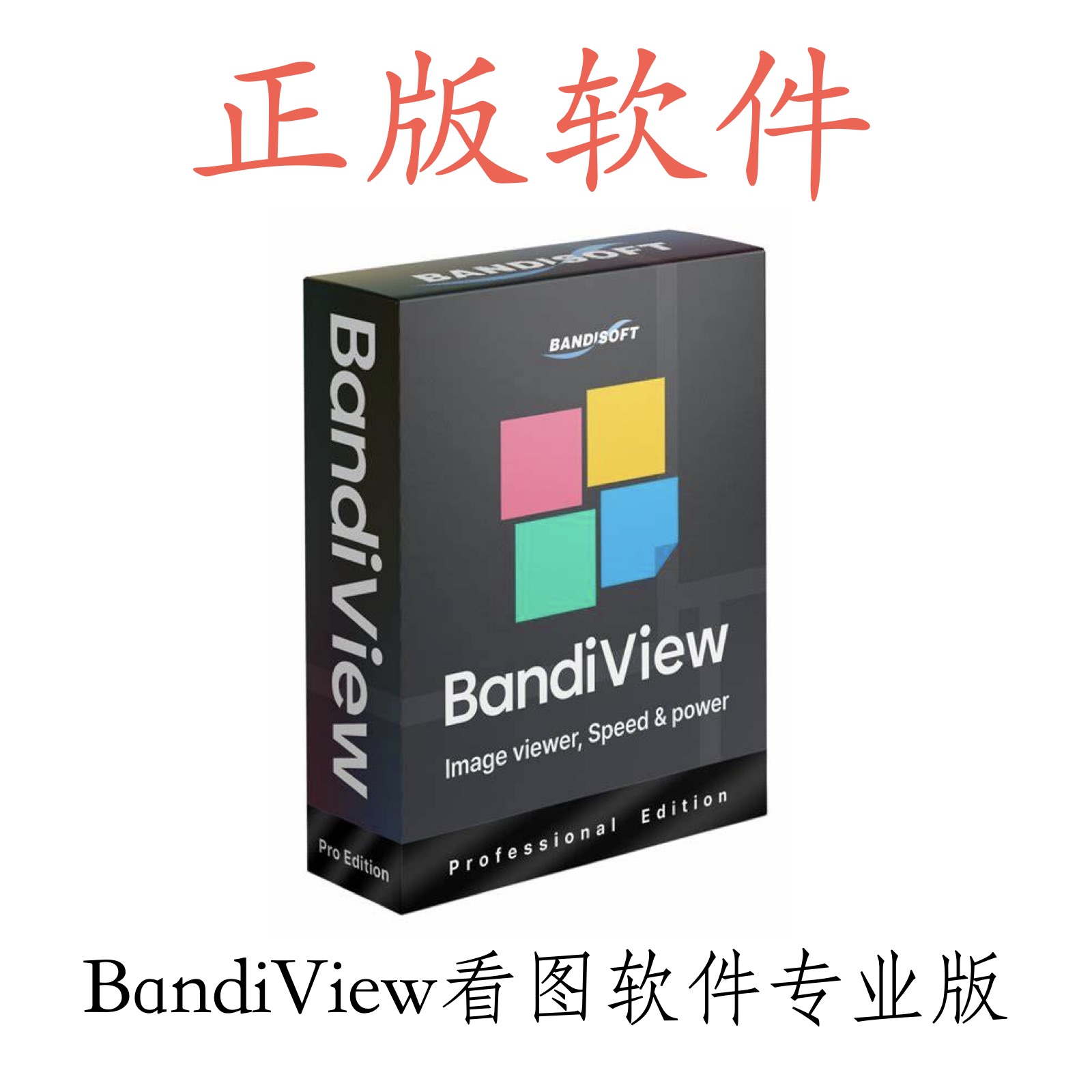 正版BandiView 专业版图像查看器看图软件图片转化激活码序列号