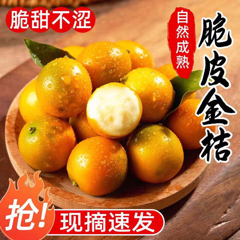广西融安脆皮金桔10斤新鲜小橘子