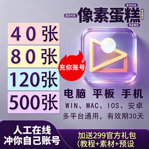 像素蛋糕会员40/80/120/500张手机电脑版通用张数平板修图ipad