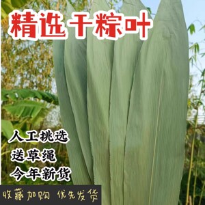 粽子叶干粽叶新鲜大号包粽子的叶子端午节商用批发野生大竹叶箬叶