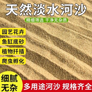 天然河沙河砂沙子养花用种植种花用实验用粗沙细沙黄沙通用营养土