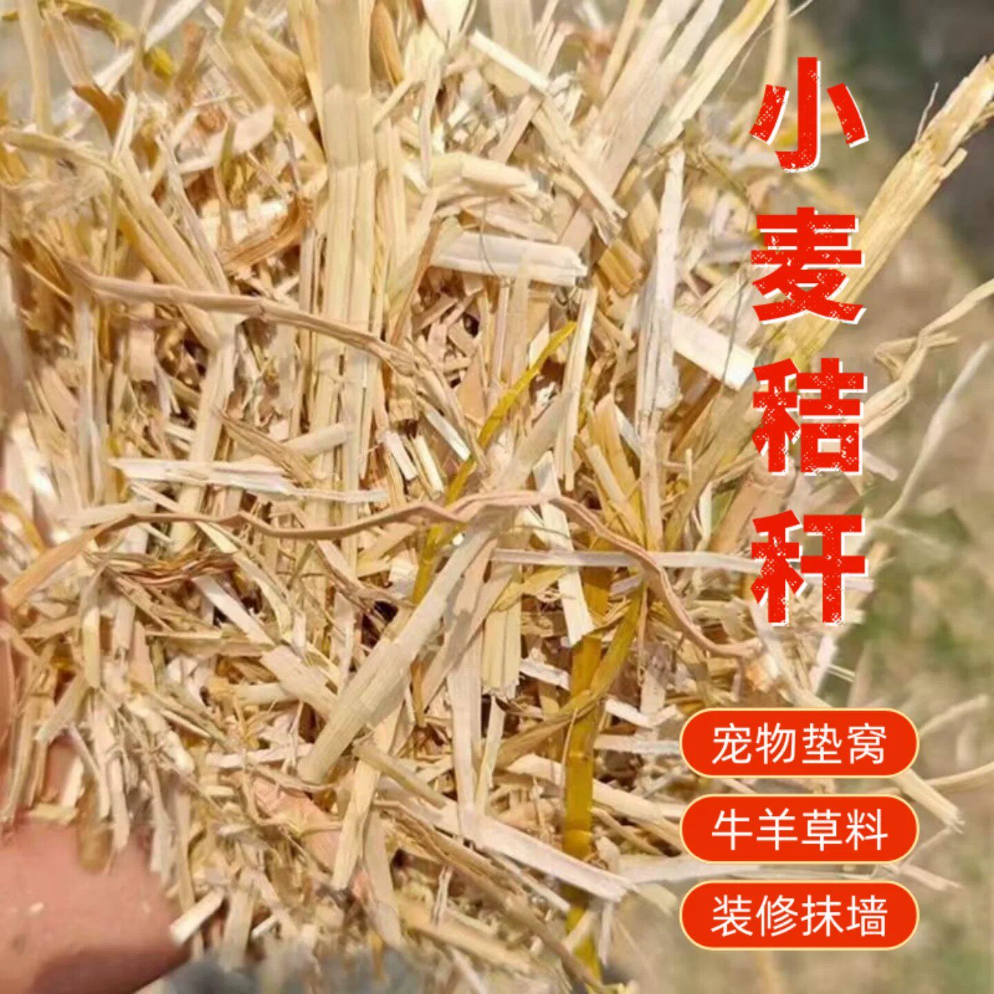 小麦秸秆天然宠物窝垫料