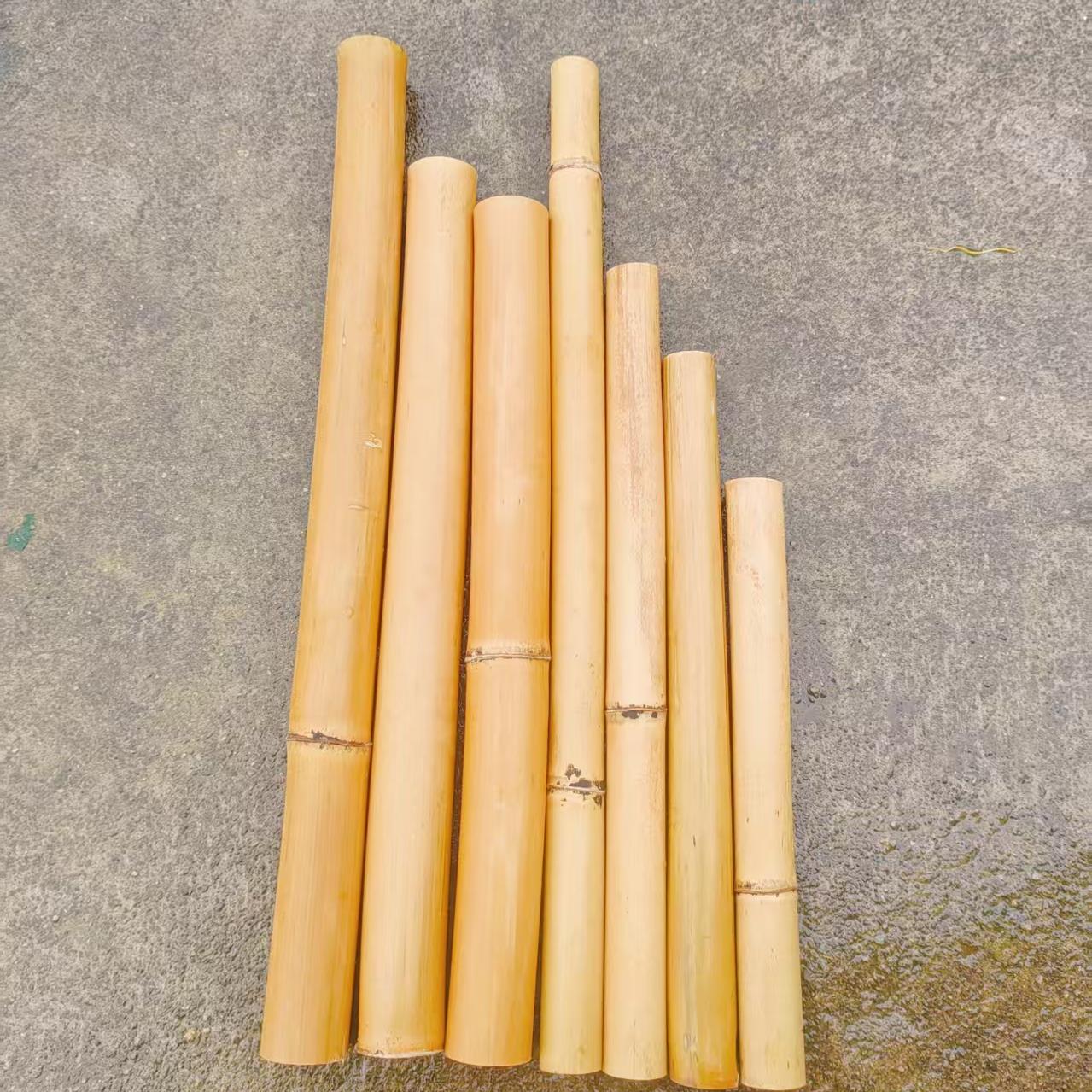 黄竹竿细竹棍防腐幼儿园插花