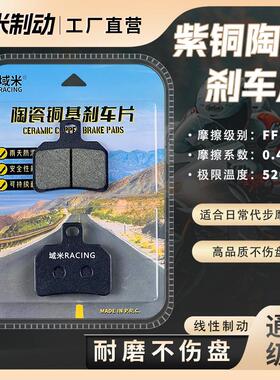 极核AE5煞车片 AE5i AE5iPro 电自 电轻摩 升级前后轮碟煞皮配件