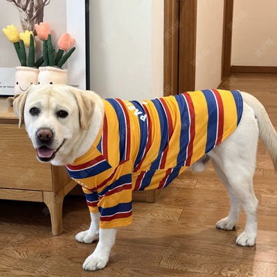 大狗衣服运动衫三色条纹衫可爱英文字母印花帅气中大型犬薄款边牧