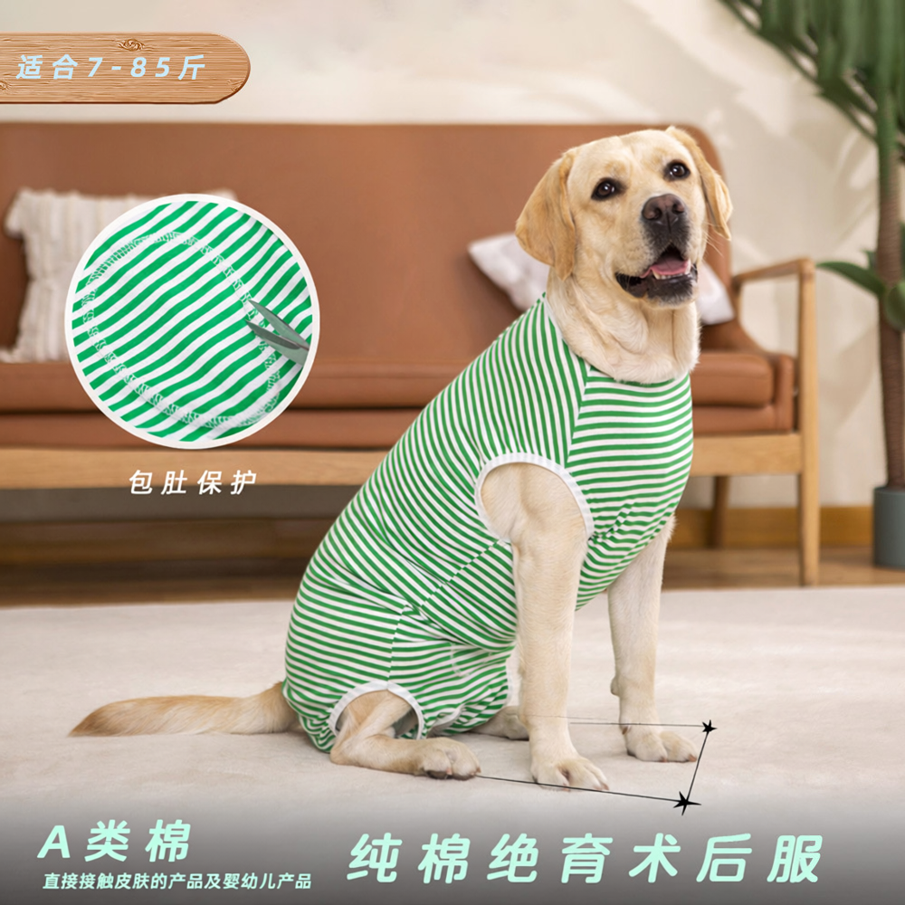 狗狗断奶绝育手术后生理服拉布拉多中大型犬纯棉宠物衣服