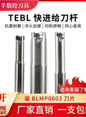 TEBL06快进给铣刀杆特固克BLMP0603刀片刀杆刀盘双面快进给铣刀杆