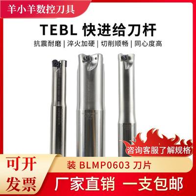 TEBL06双面快进给铣刀杆