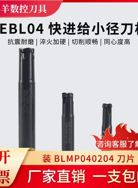 TEBL04R特固克双面快进给铣刀杆BLMP040204刀片刀杆 10 12 16